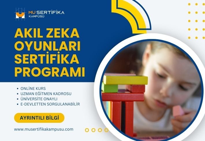 Akıl Zeka Oyunları Eğitimi Sertifika Programı